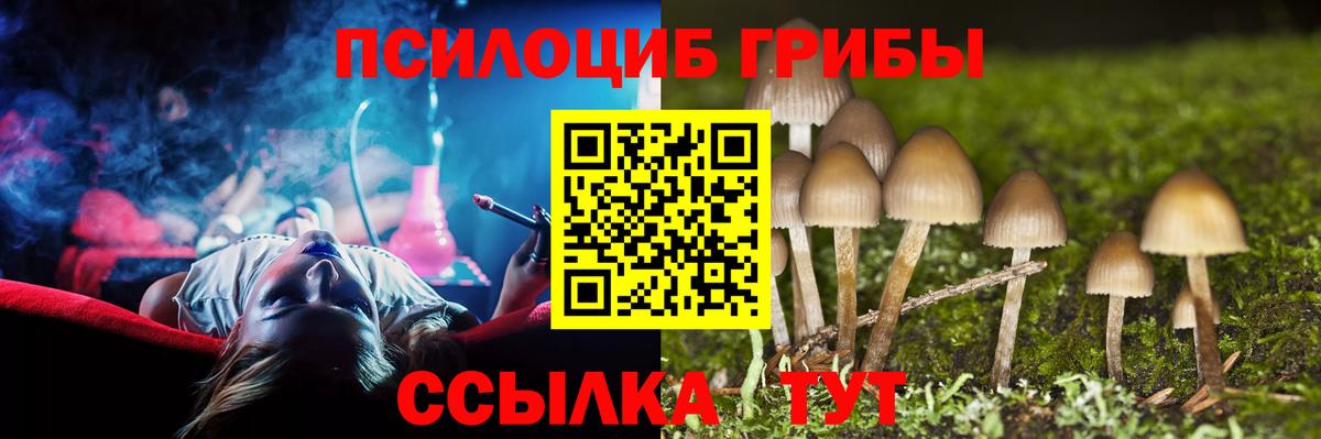 Псилоцибиновые грибы GOLDEN TEACHER  Галлюциногенные грибы Magic Shrooms  Вход с VPN  Арзамас 